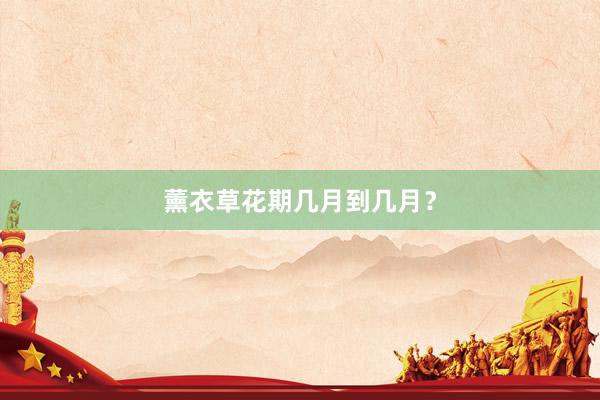 薰衣草花期几月到几月？