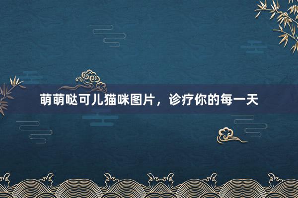 萌萌哒可儿猫咪图片，诊疗你的每一天