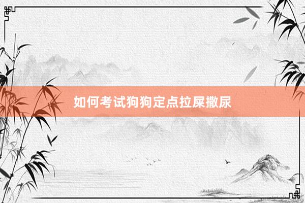 如何考试狗狗定点拉屎撒尿